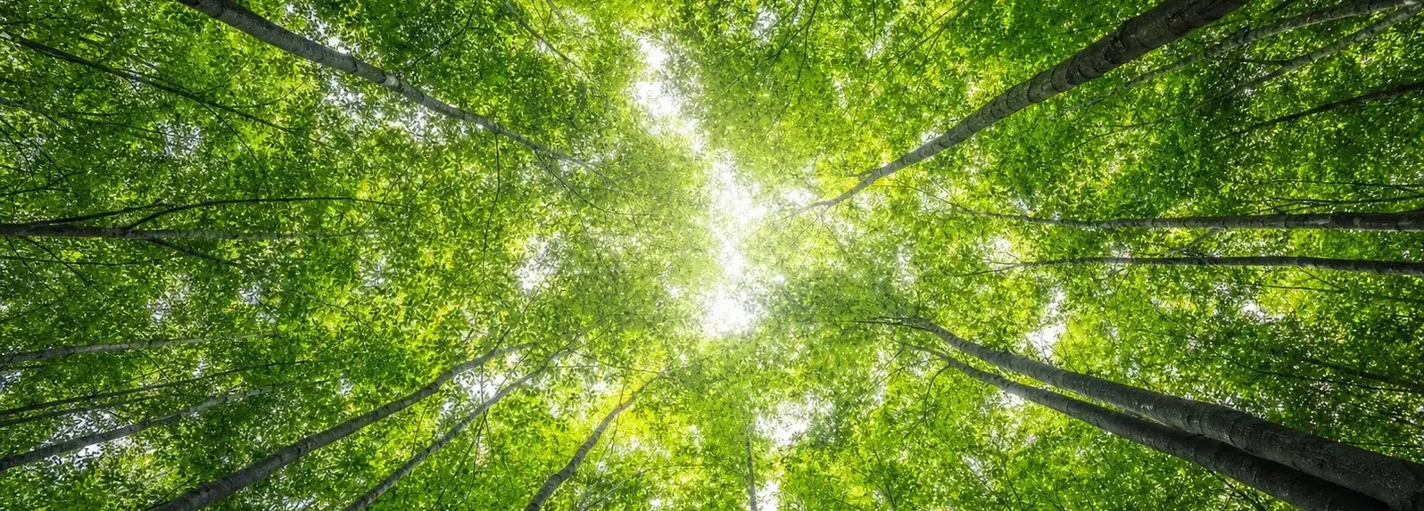 Environment-V2