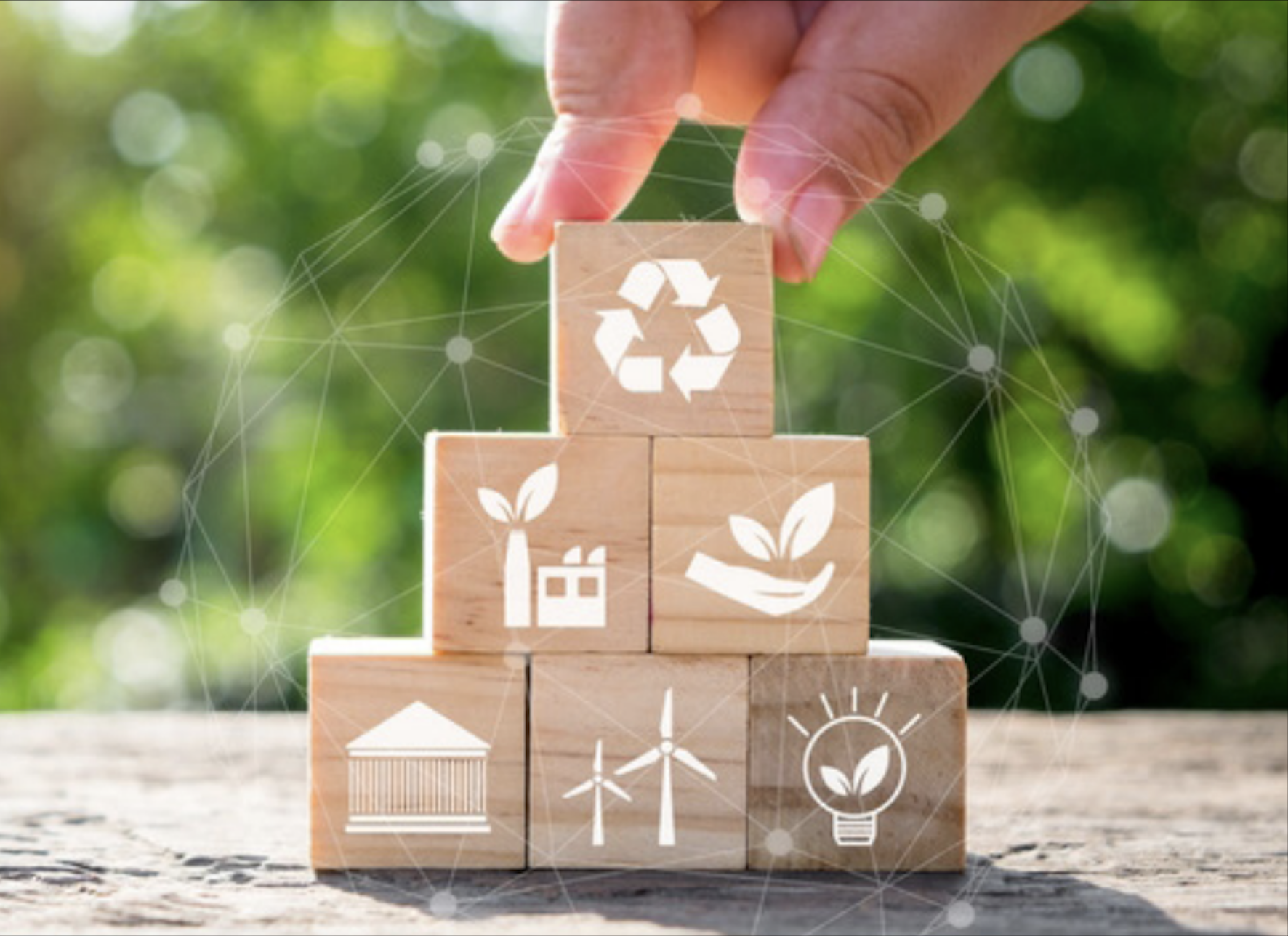 Sustainability-1