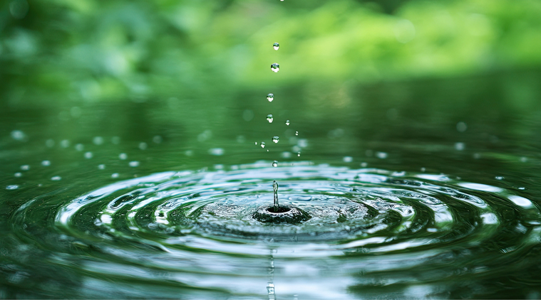 Corporate Sustainability Governance in Modern Office Setting